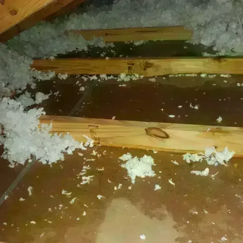 Attic Water Damage in Saint Gabriel, LA